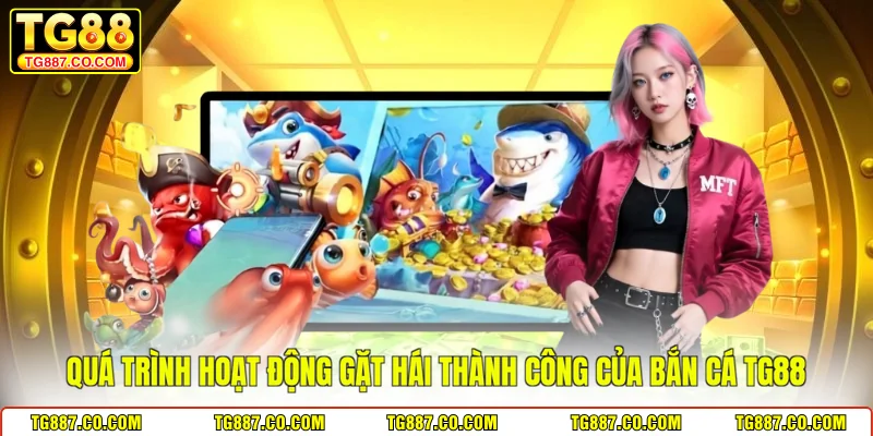 Quá trình hoạt động gặt hái thành công của bắn cá TG88